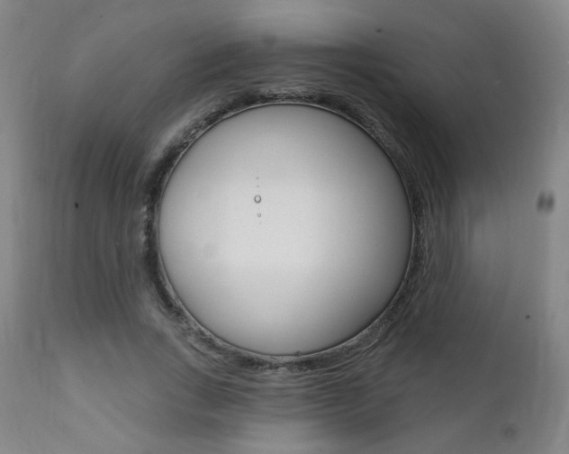 X0000111380735200907100936