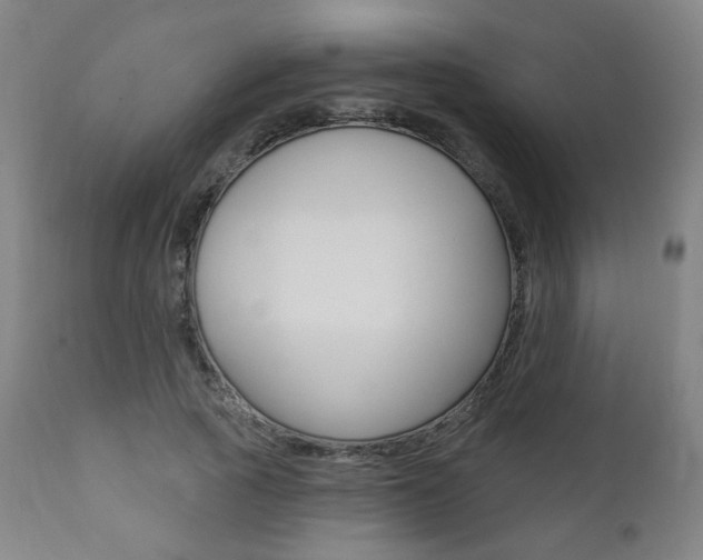 X0000111380737200907100936