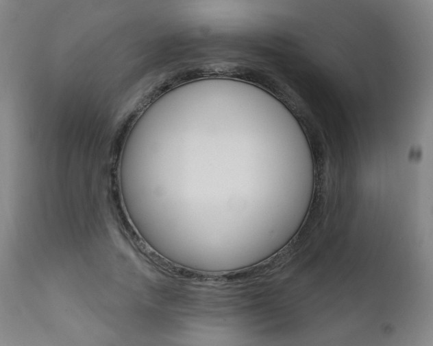 X0000111380738200907100936