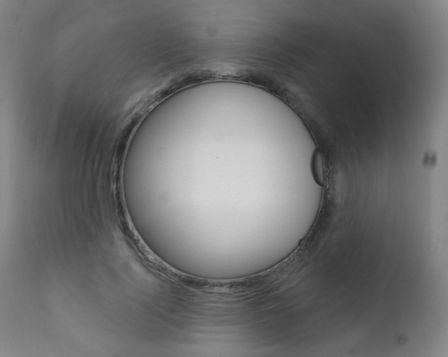 X0000111380740200907100936