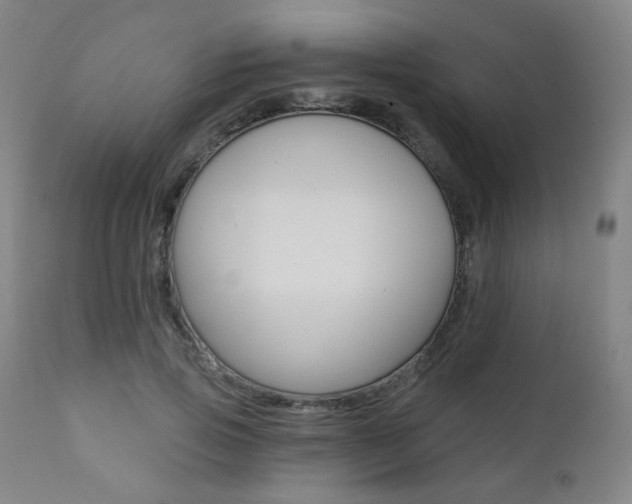 X0000111380741200907100936