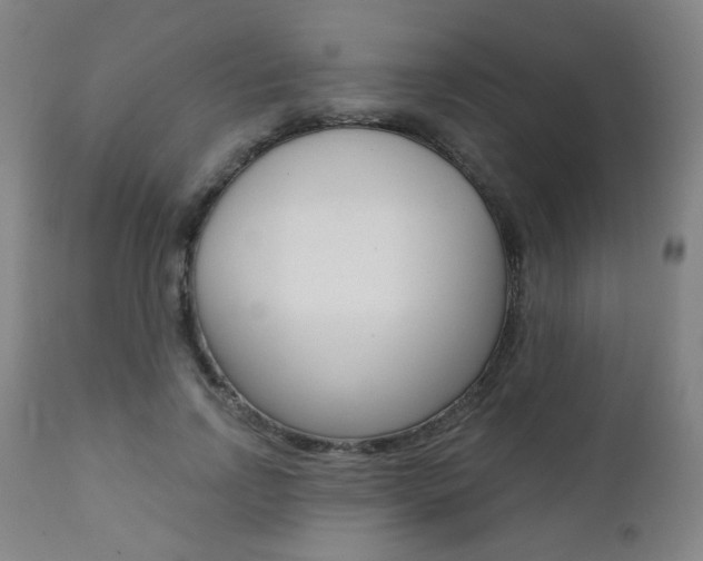 X0000111380742200907100936