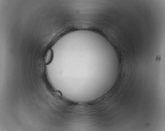 X0000111380743200907100936