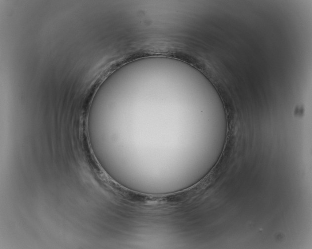 X0000111380744200907100936