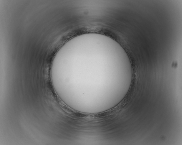 X0000111380745200907100936