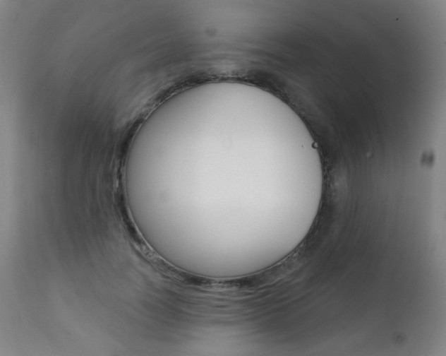 X0000111380746200907100936