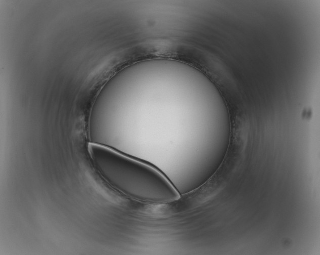 X0000111380748200907100937