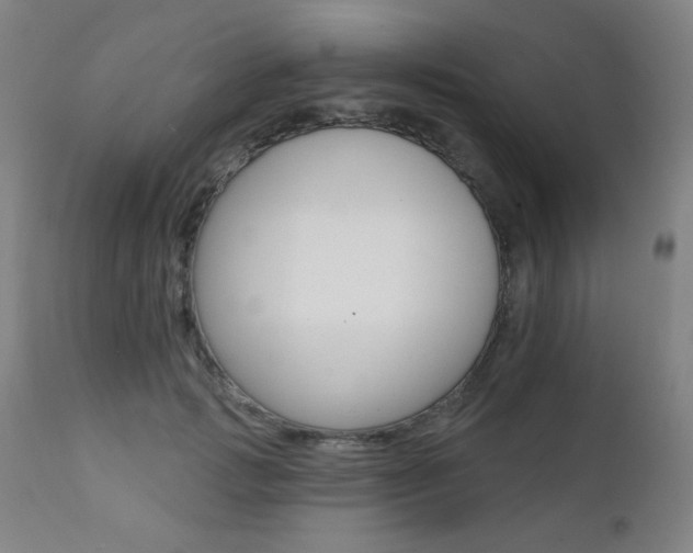 X0000111380749200907100937