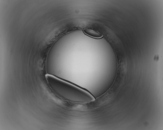 X0000111380750200907100937