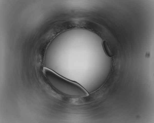 X0000111380752200907100937