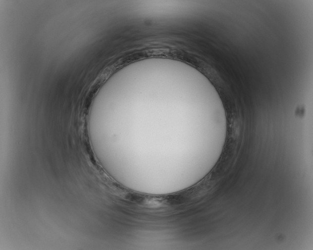 X0000111380753200907100937
