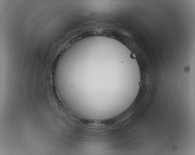X0000111380754200907100937