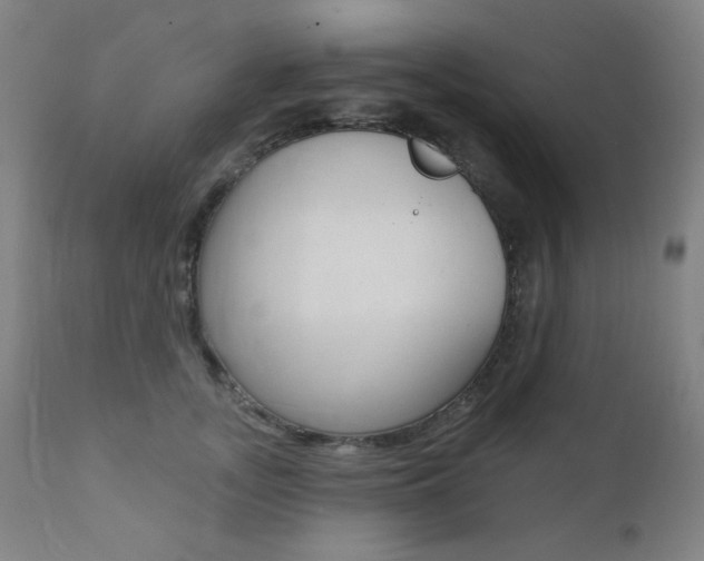 X0000111380755200907100937