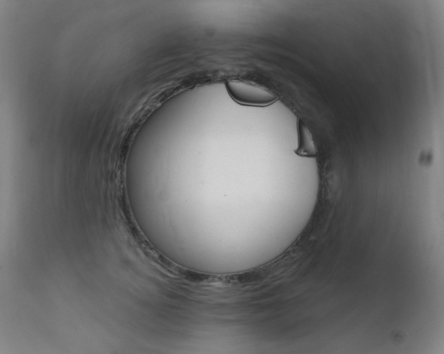 X0000111380756200907100937