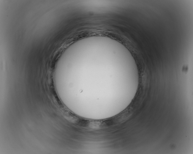 X0000111380757200907100937