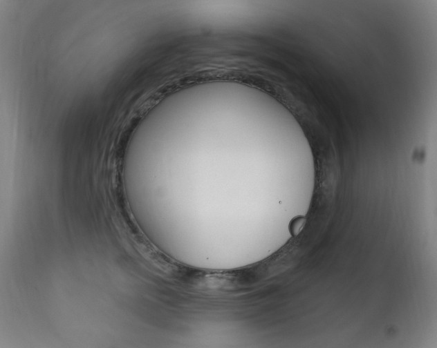 X0000111380758200907100937