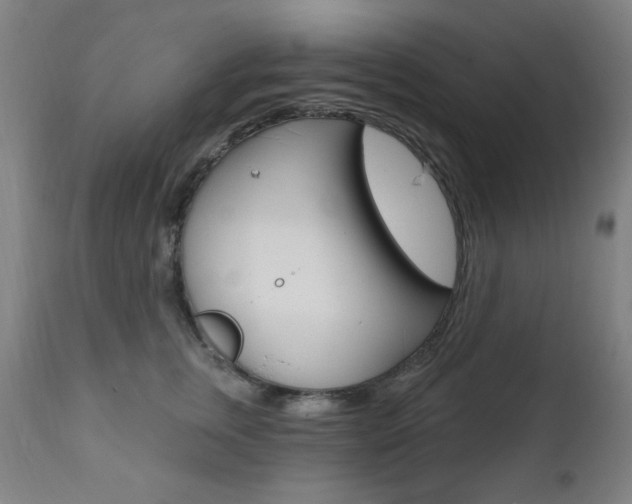 X0000111380759200907100937