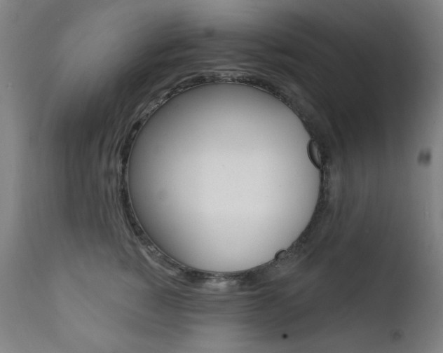 X0000111380760200907100937