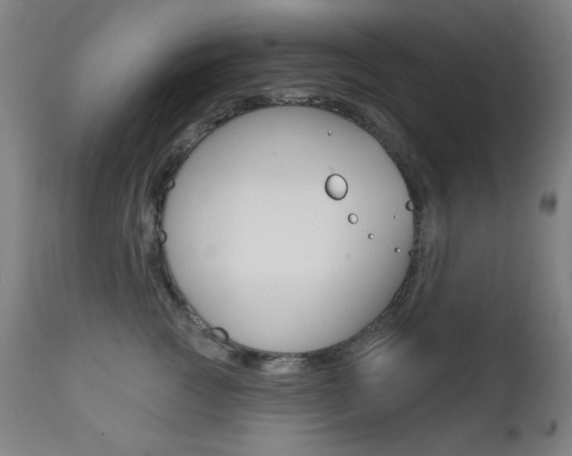 X0000111380761200907100937