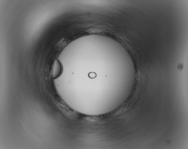 X0000111380763200907100937