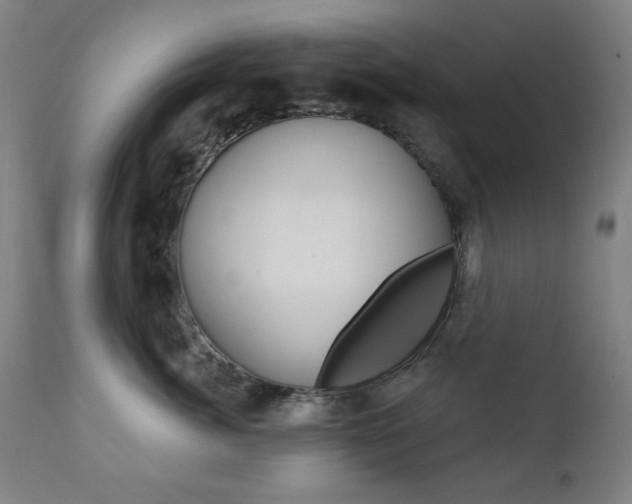 X0000111380764200907100937