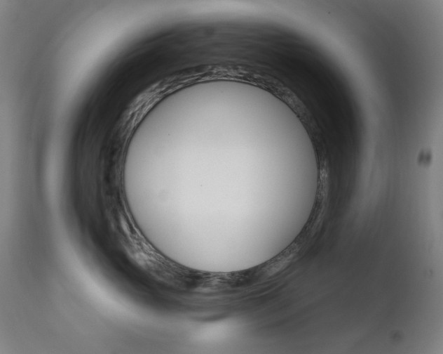 X0000111380765200907100937