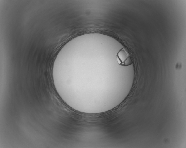 X0000111380768200907100937