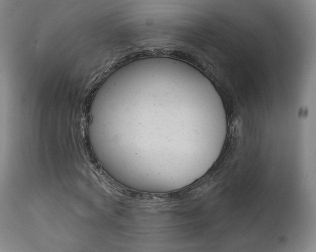 X0000111380772200907100936