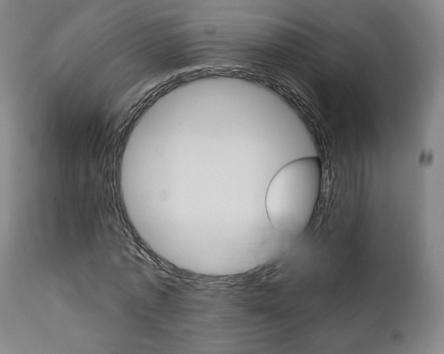 X0000111380773200907100936