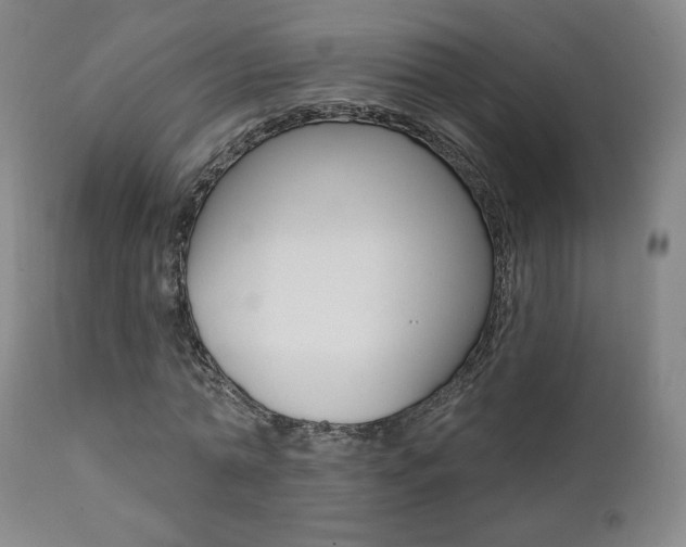 X0000111380774200907100936