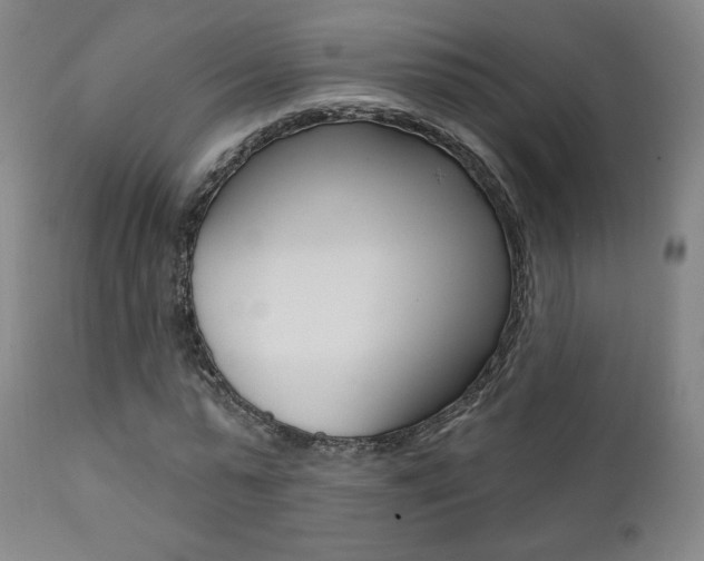 X0000111380775200907100936