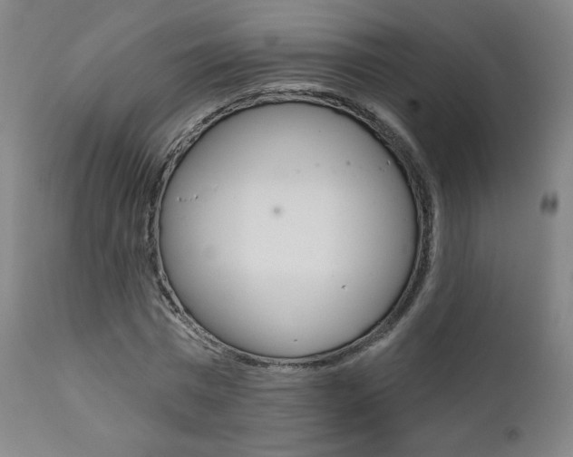 X0000111380777200907100936
