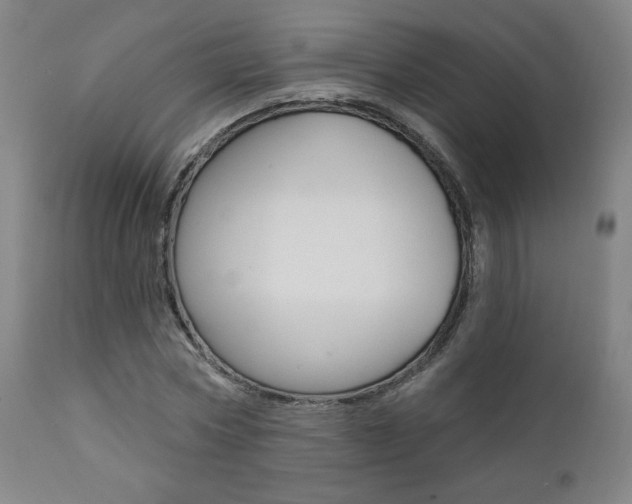 X0000111380778200907100936