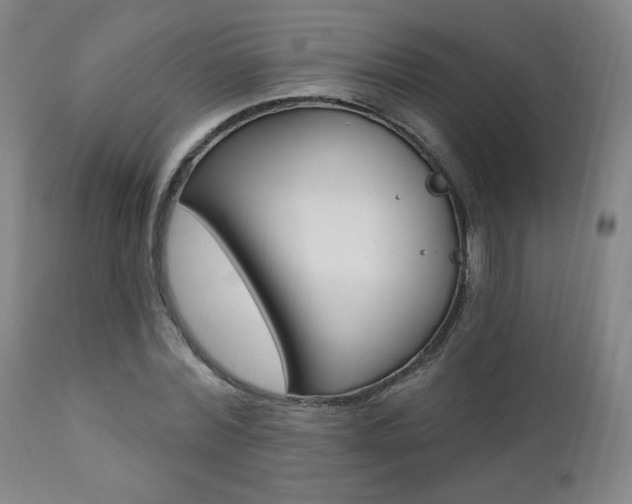 X0000111380780200907100936