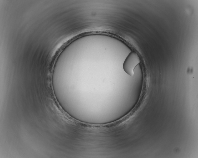 X0000111380781200907100936