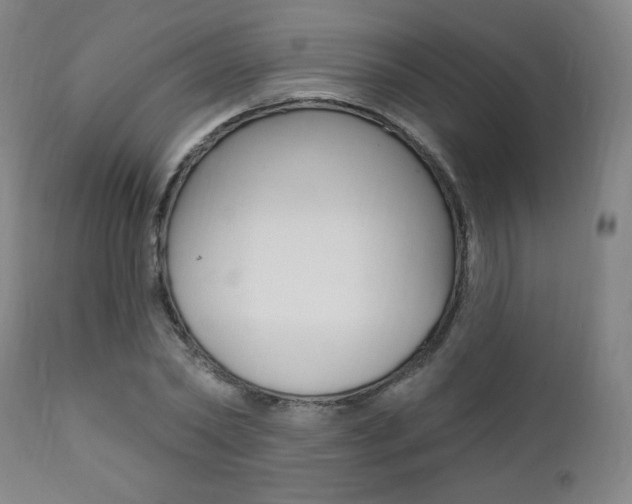 X0000111380782200907100936