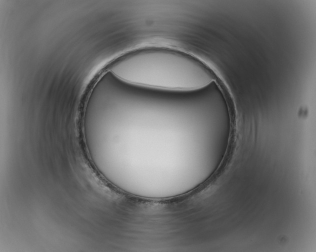 X0000111380783200907100936