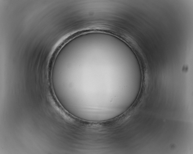 X0000111380784200907100936
