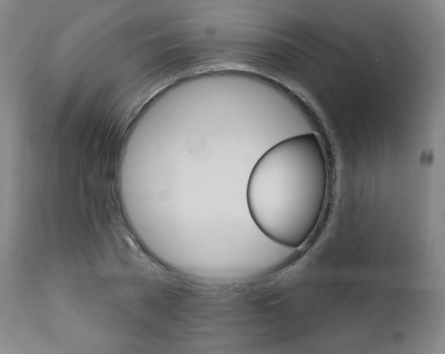 X0000111380785200907100936