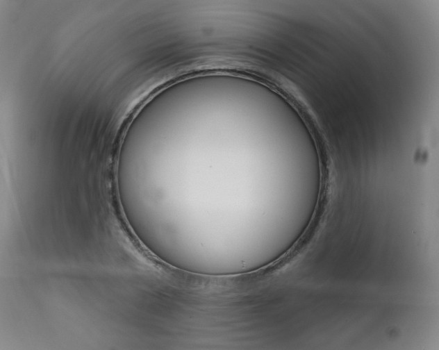 X0000111380786200907100936