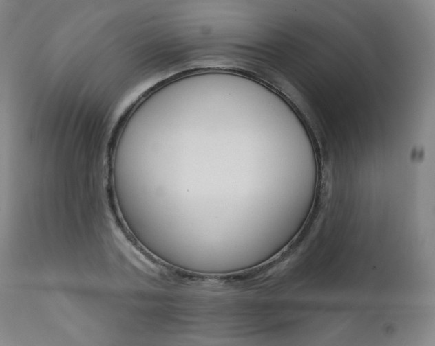 X0000111380787200907100936