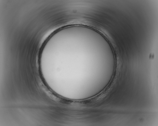 X0000111380788200907100936