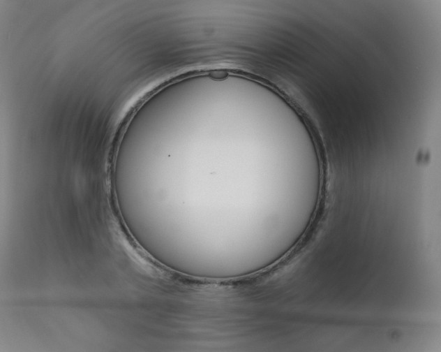X0000111380789200907100936