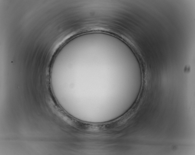 X0000111380790200907100936