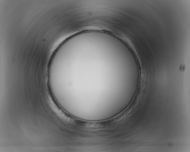 X0000111380795200907100936