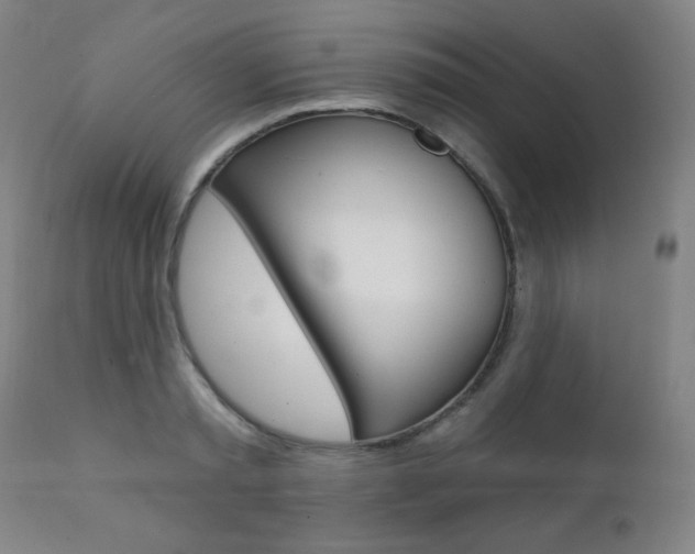 X0000111380797200907100936