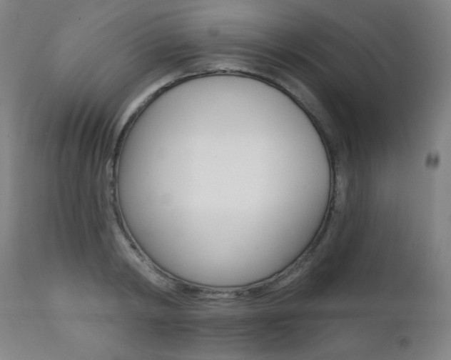 X0000111380798200907100936