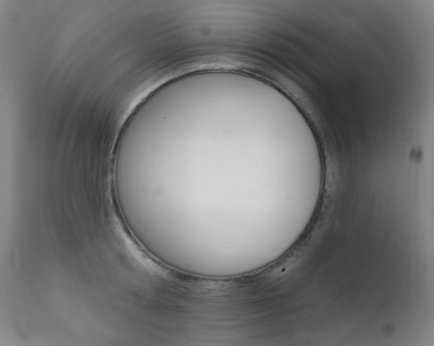 X0000111380802200907100936