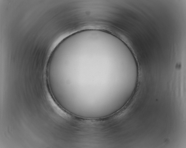 X0000111380803200907100936