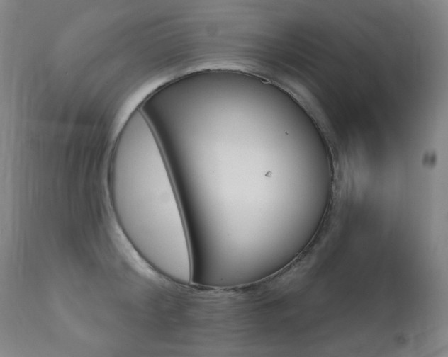 X0000111380804200907100936